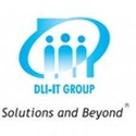 DLI-IT Group