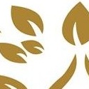 Luxury Ayurvedic Resorts India